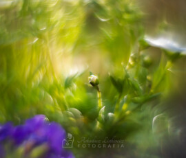 © 2024 Arkadiusz Listkiewicz, all rights reserved